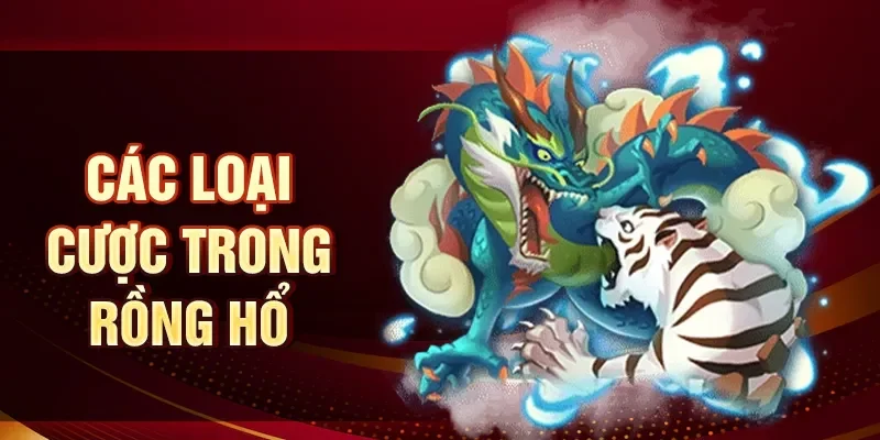 Các loại cược trong Rồng hổ