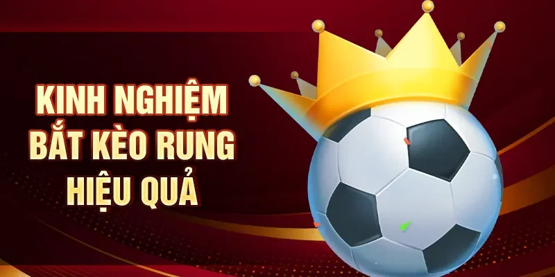 Kinh nghiệm bắt kèo rung hiệu quả